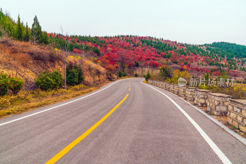 山区公路秋色