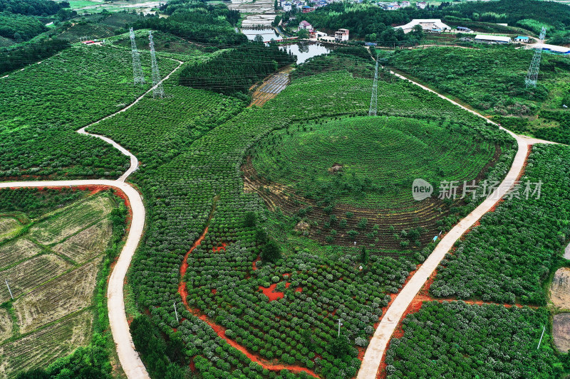 景德镇乐平宜牧生态农业园