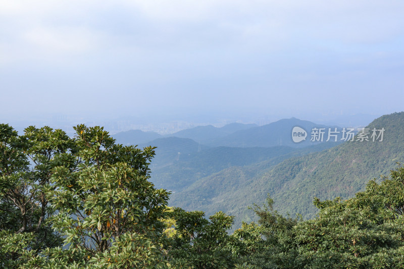 深圳梧桐山景观