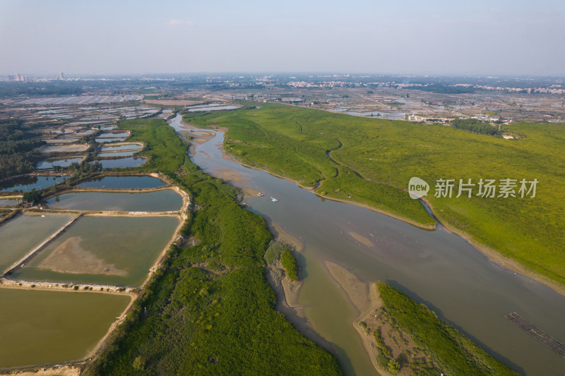 湛江高桥红树林保护区