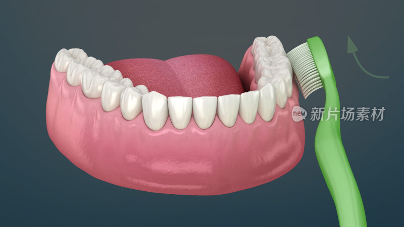 口腔医学牙齿健康口腔卫生牙齿插图