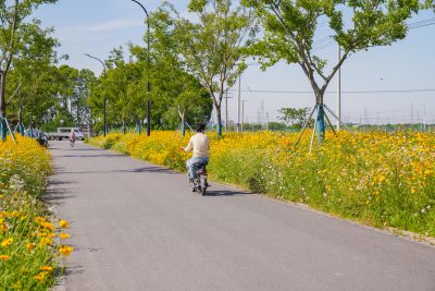 昆山美丽新农村