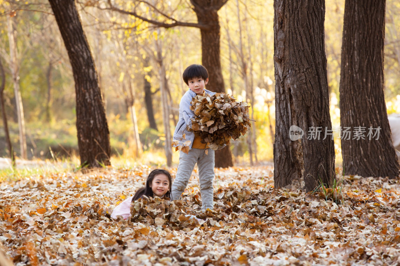 可爱的男孩女孩在户外玩树叶