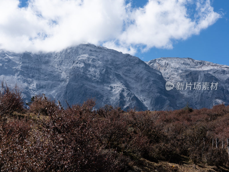 站在玉龙雪山牦牛坪，观赏山川风景