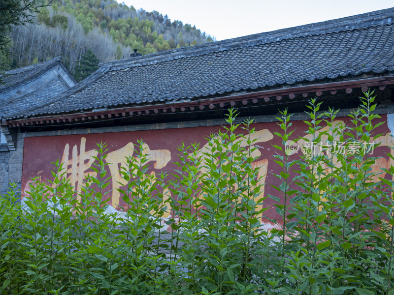 山西五台山普化寺禅院早上风景