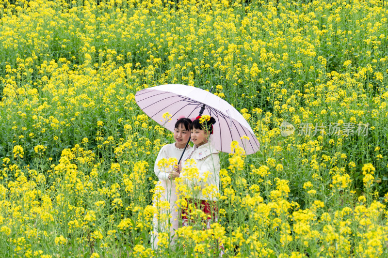 两女孩撑伞于油菜花田