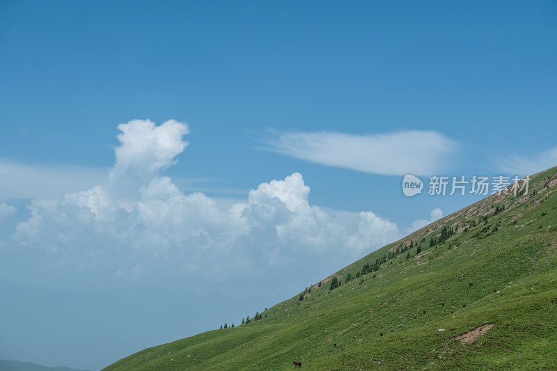 新疆伊犁那拉提景区