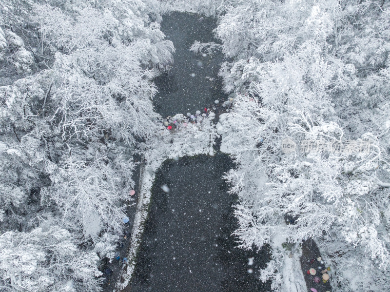 爱晚亭雪景