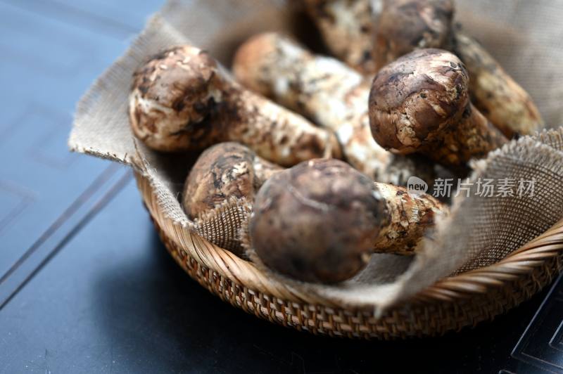 甘孜州野生松茸