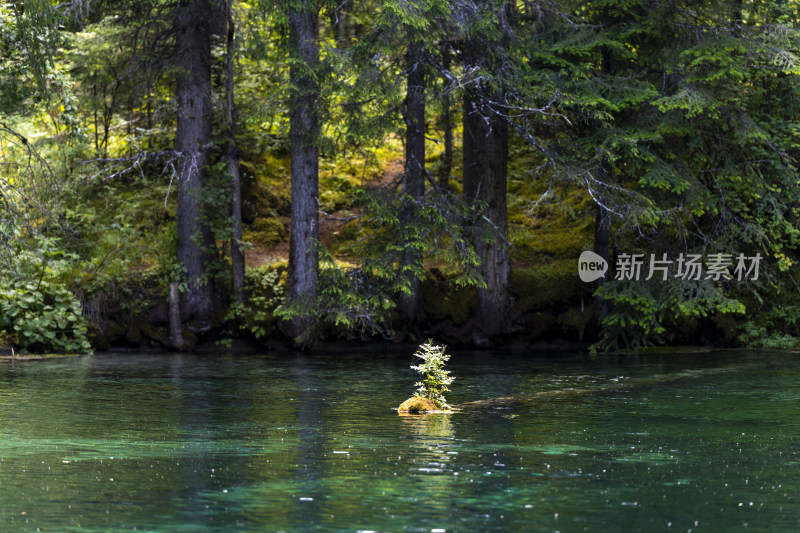 松潘县牟尼沟景区自然山水风光