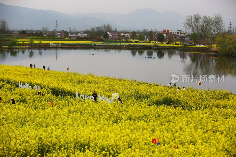 汉中皇塘的油菜花