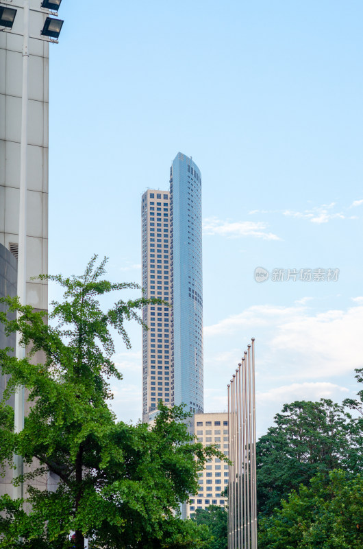 青岛市中心香港中路，青岛财富中心大楼