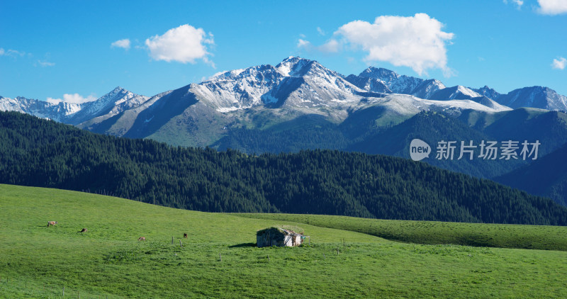 草原雪山风景自然风光