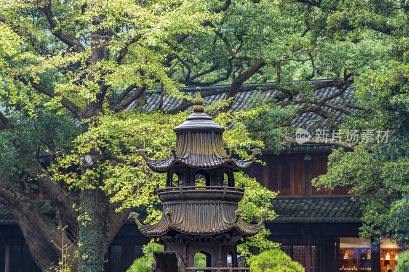 浙江普陀山法雨寺禅院