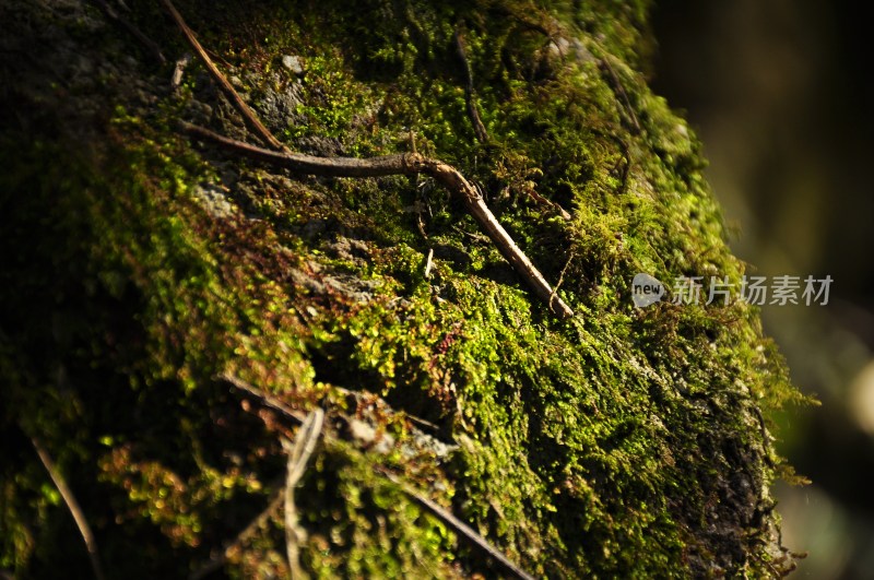 株洲风景  株洲神龙谷