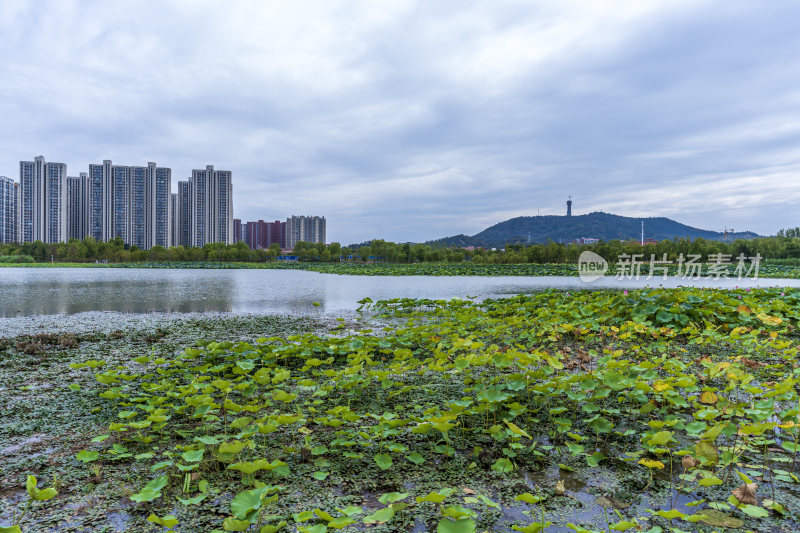 武汉江夏中央大公园风景