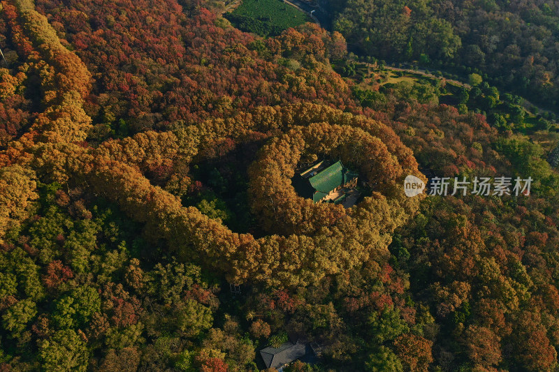 南京钟山风景区美龄宫秋色