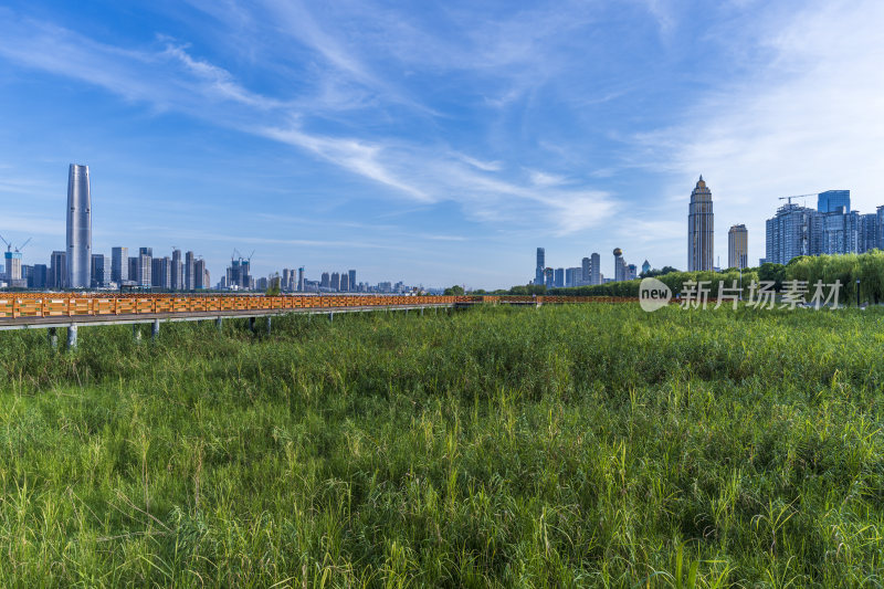 武汉汉口江滩公园风景