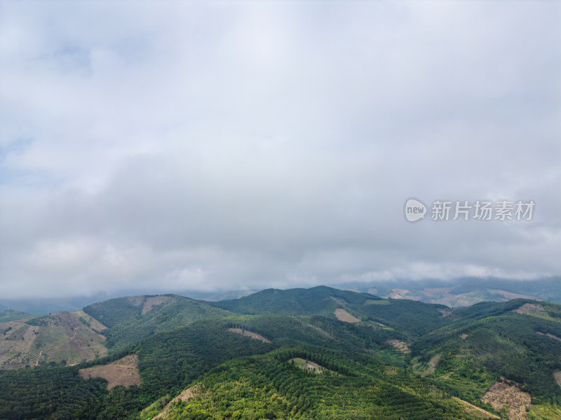 云雾笼罩下的葱郁山林鸟瞰全景