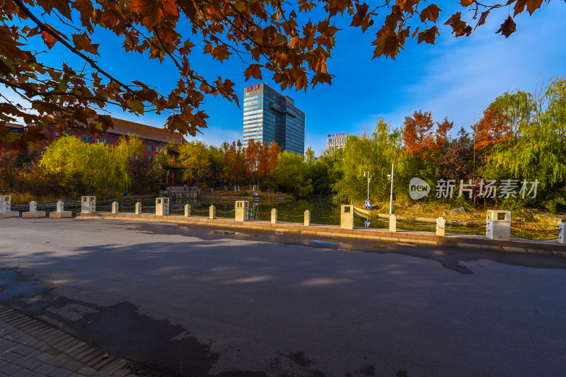 秋季城市公园风景