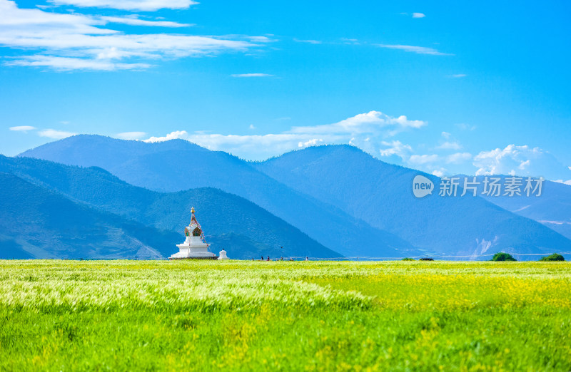 香格里拉纳帕海景区