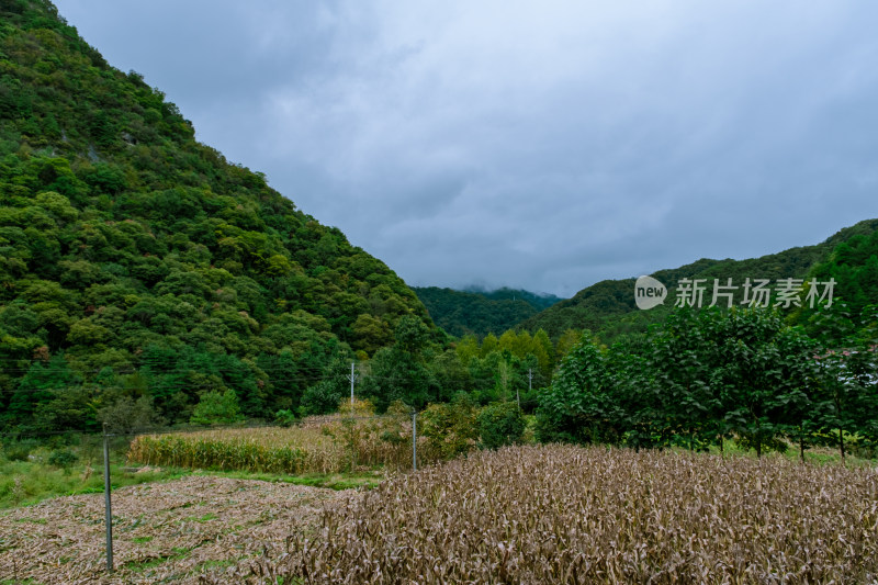 汉中留坝火烧店镇秦岭深处的山村田园风光