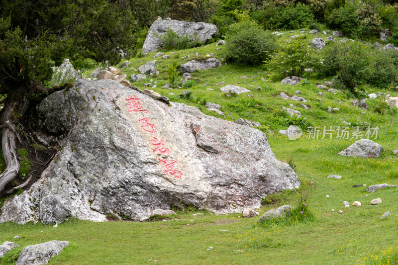 四川阿坝理县毕棚沟景区燕子岩高山草甸