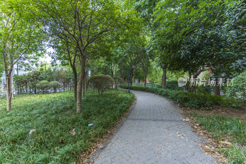 武汉江夏区当代运动公园风景