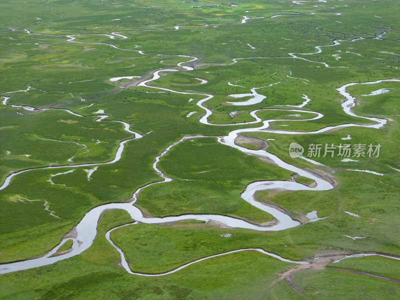 黄河草原湿地