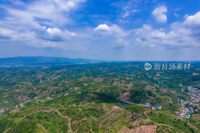 山川丘陵橙子橘子种植基地航拍摄影图