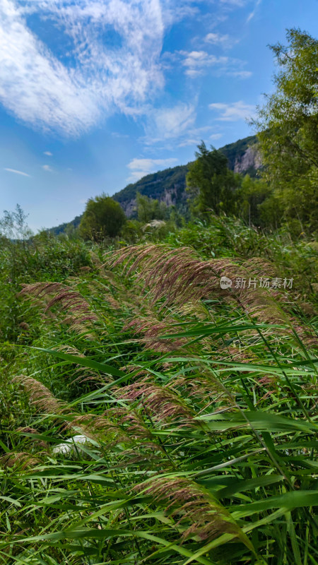 鹤壁清水湾自然风景