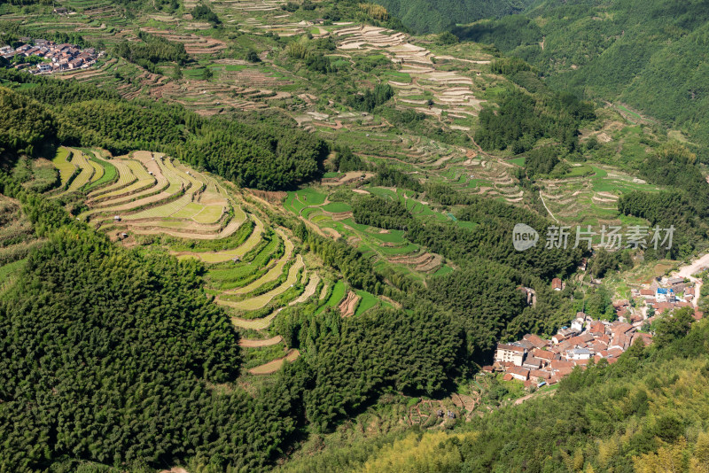 浙江遂昌南尖岩梯田风光