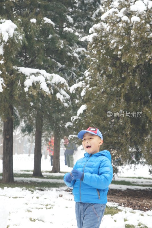 身穿蓝色外套的小男孩在雪地玩耍