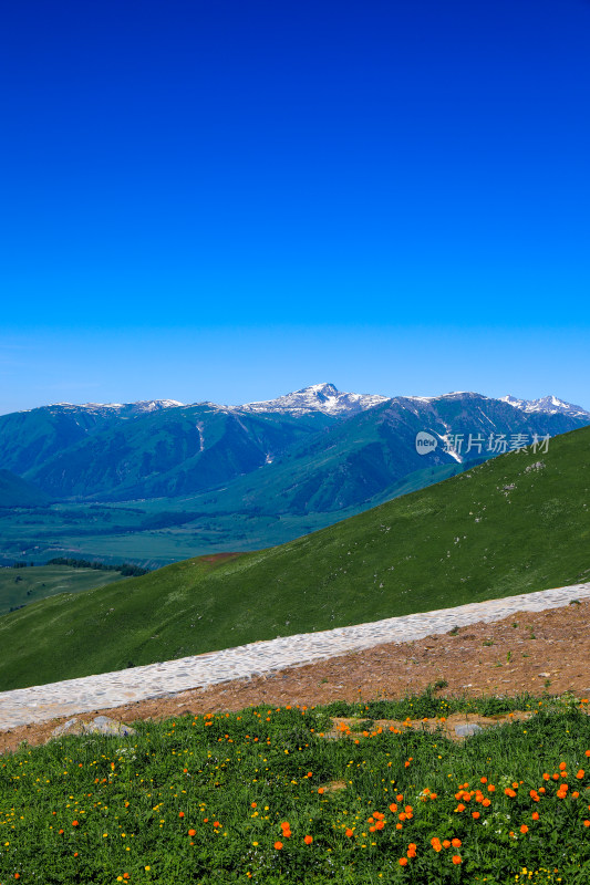 春季新疆大自然山河雪山草原风光