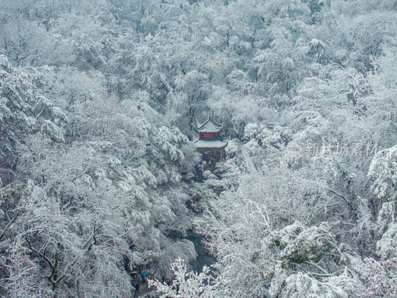 爱晚亭雪景