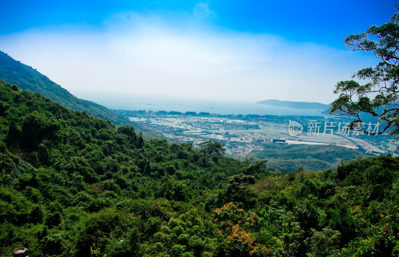 山林俯瞰城市与海洋景观