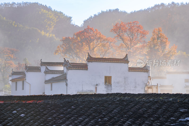 航拍江西婺源石城徽派建筑秋色枫叶村庄日出