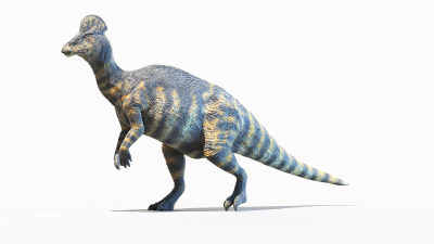恐龙 侏罗纪 食肉恐龙