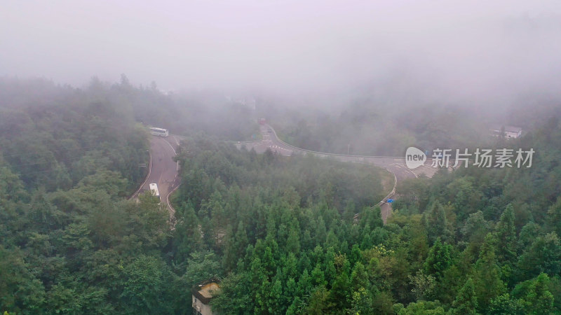 重庆武隆仙女山森林公园