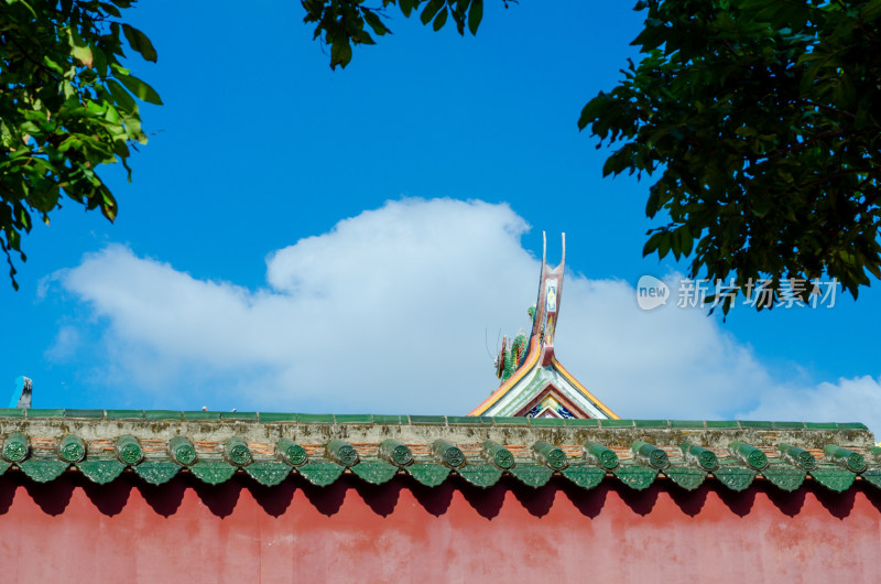 福建泉州承天寺的红墙绿瓦蓝天