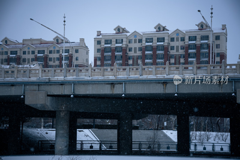 下雪的公园特写景观