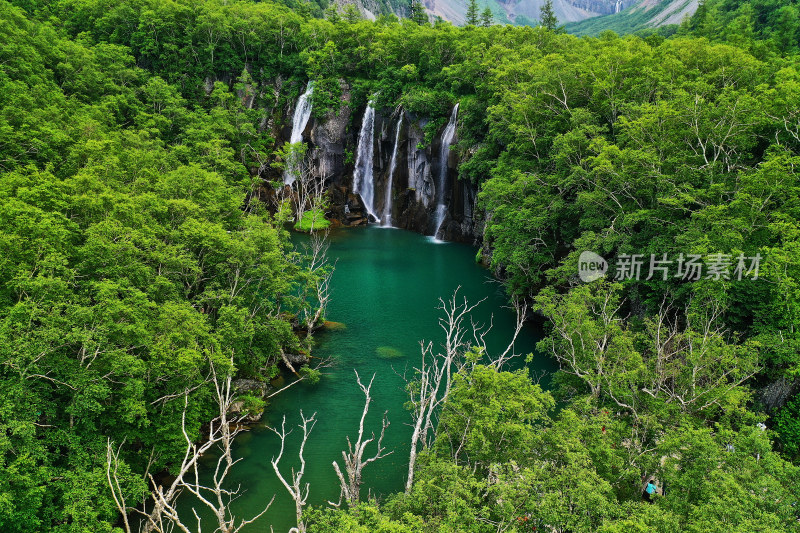 丛林中的湖泊