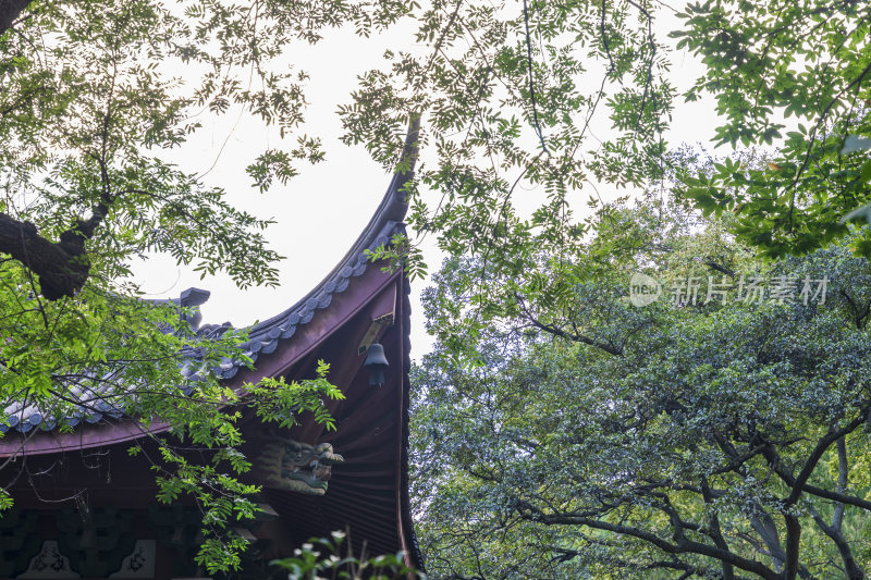 杭州西湖飞来峰灵隐寺千年古刹古建筑