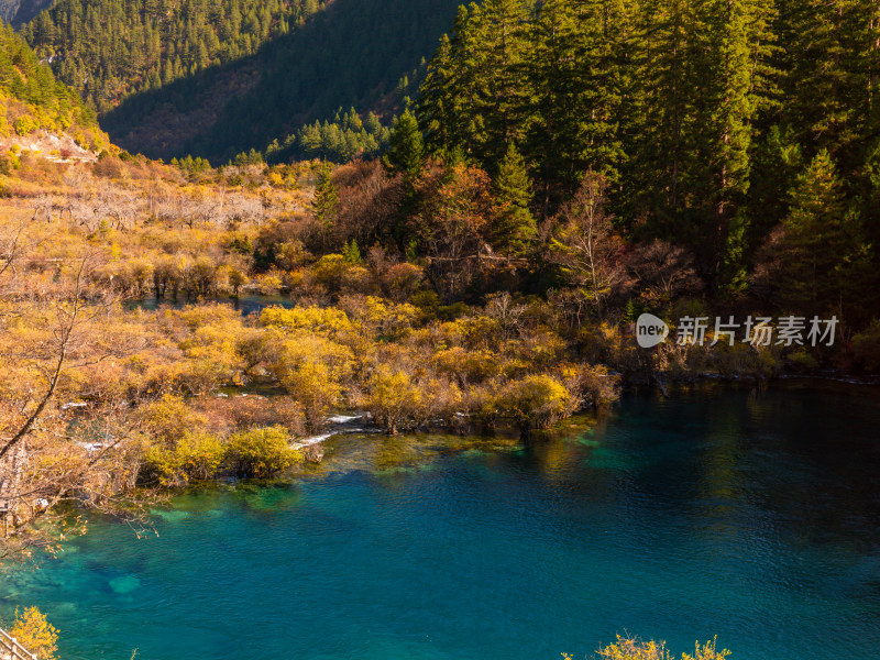 九寨沟秋景