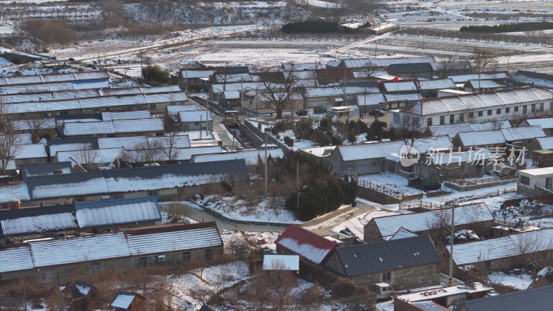 航拍威海市文登区瓦屋庄村百年银杏冬季雪景