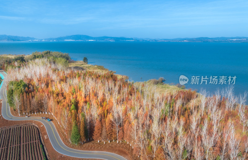 滇池湿地风光