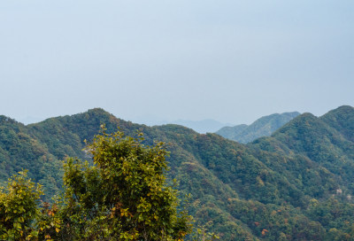 河南洛阳市嵩县的白云山风景区秋色