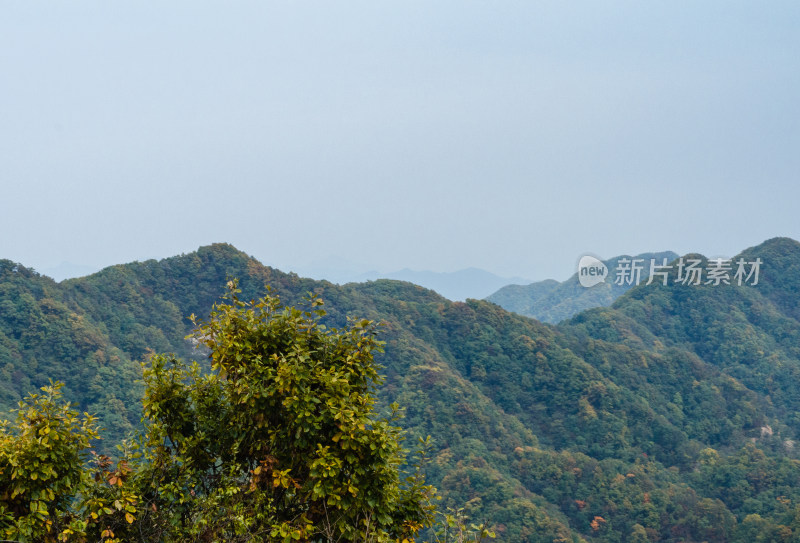 河南洛阳市嵩县的白云山风景区秋色