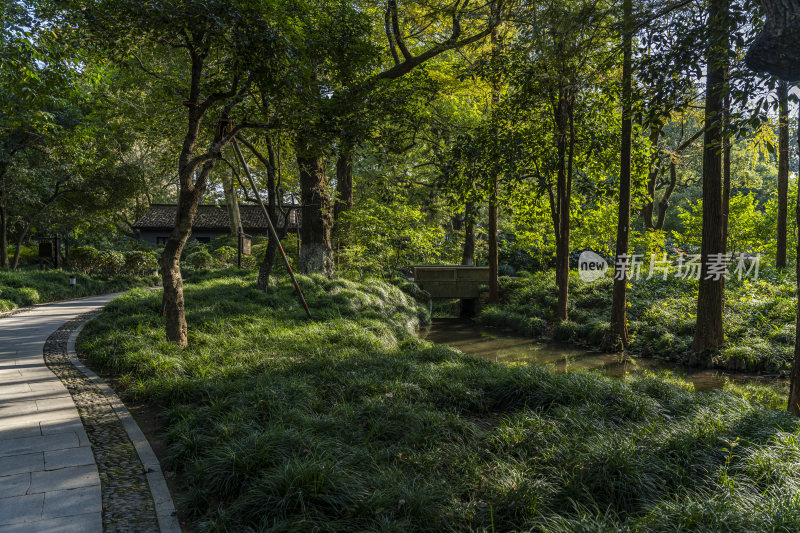 杭州西子湖畔杭州花圃风景