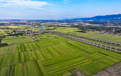 高架桥穿越田野与城市景观